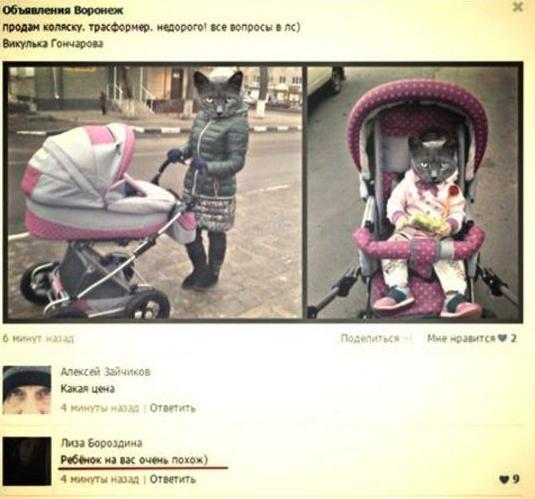 user posted image