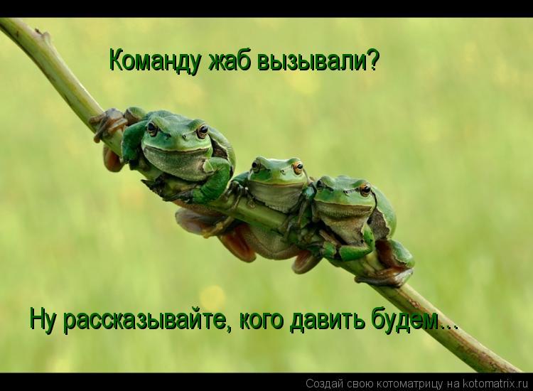 e8db4974e0c563f77c0332101ef2238f.jpg