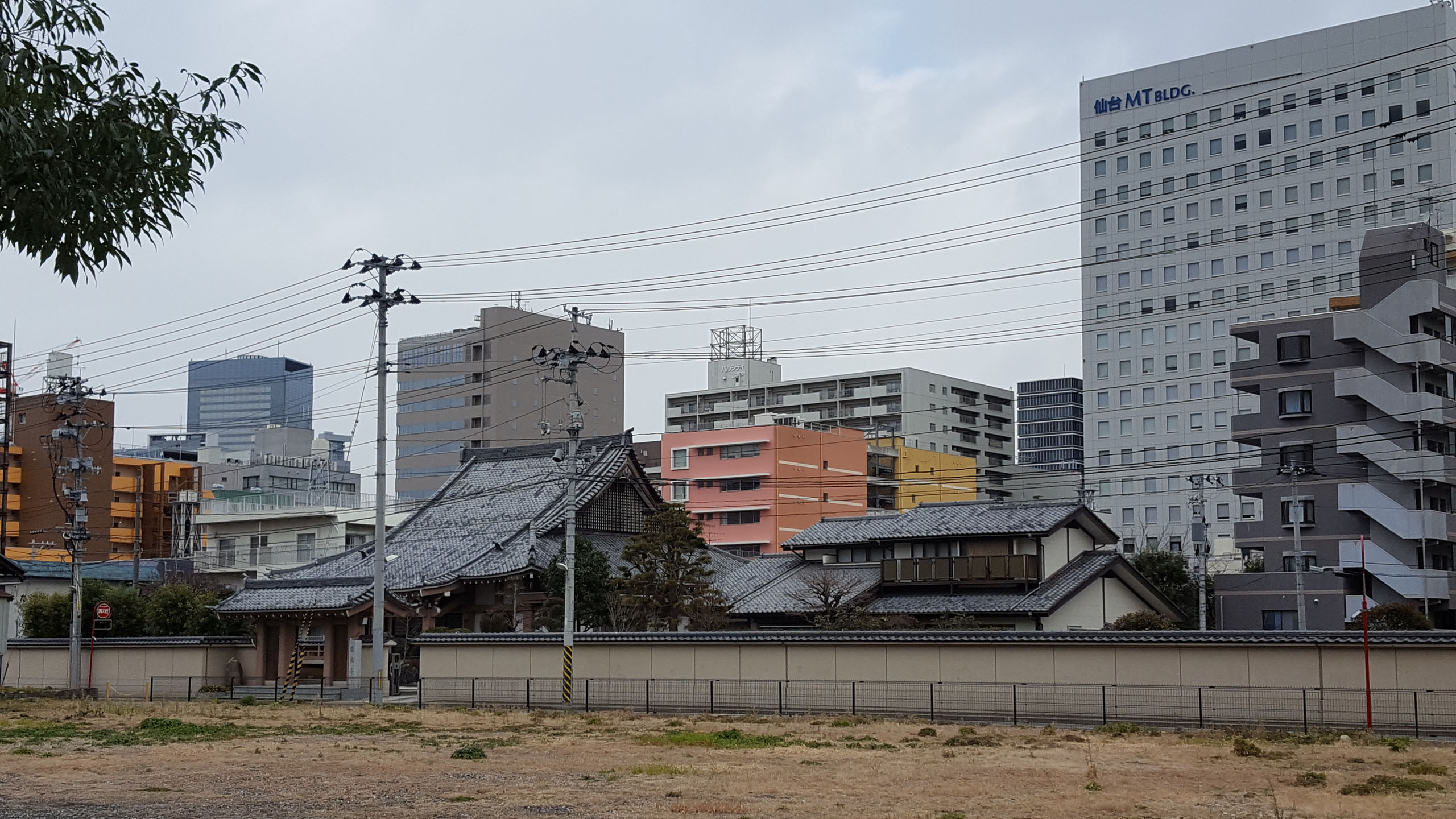 Tokyo>Sapporo>Noboribetsu>Sanriku Coast>Sendai>Yudanaka>Matsumoto>FujiQ Highland>Okinawa>Tokyo (29.12.2016-14.01.2017)