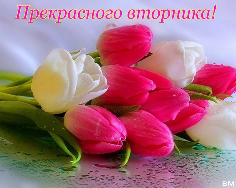 🖼