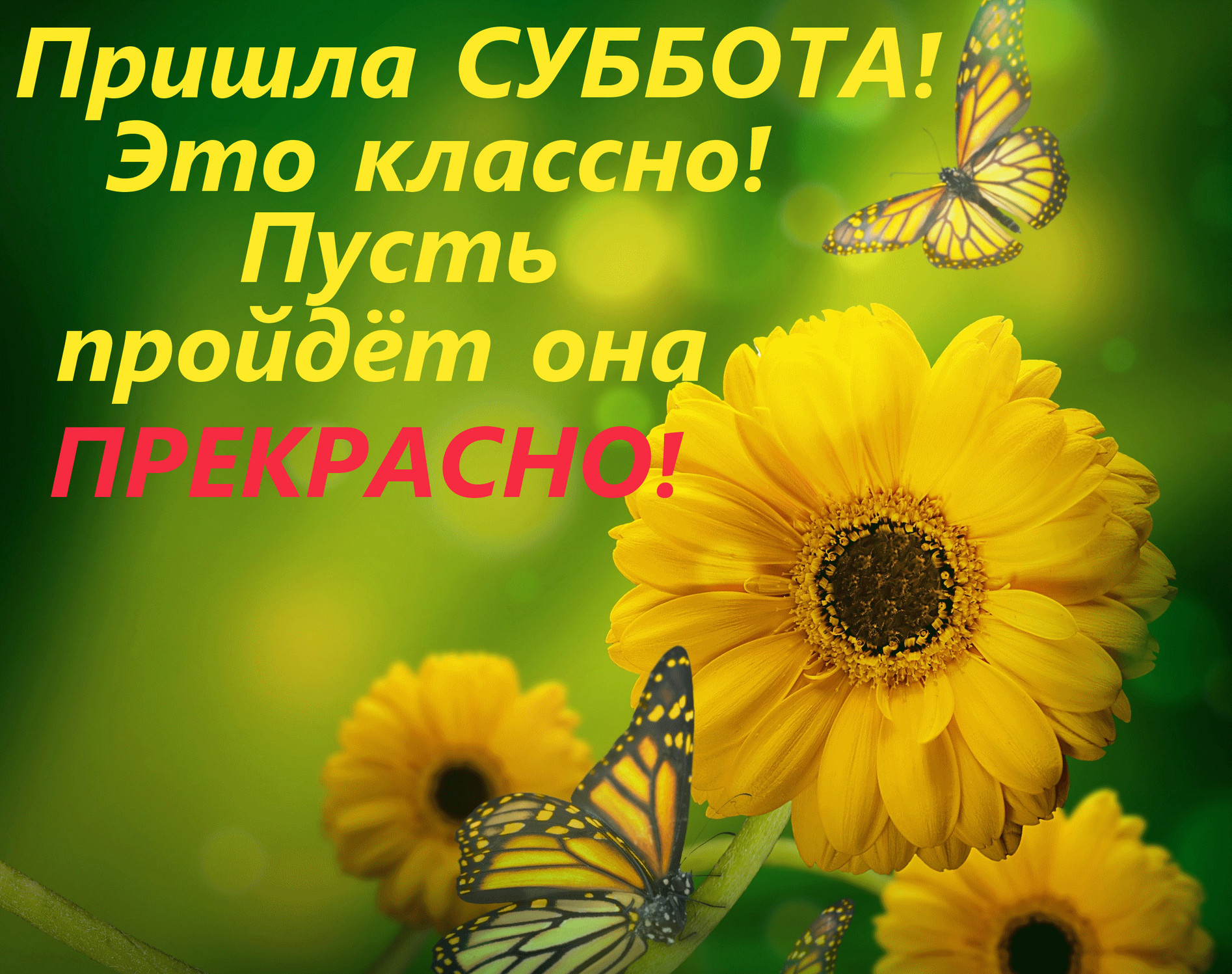 Открытки с добрым утром субботы и хорошего дня Открытки с добрым утром субботы и хорошего дня
