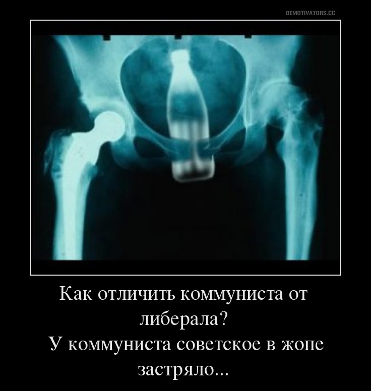 Анальная ёлочка с пульсацией Evolved Backdoor Banger и пультом ДУ, чёрная EN-RS-7686-2 - Evolved - Анальные ёлочки - Купить