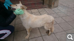 e85f87e178b83fee229467fc8fa059b5.png