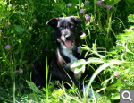 a461f607ceaad190368de06b0148eeb0.png