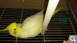 8db669d30206c81c199e6cf2217a0be5.png