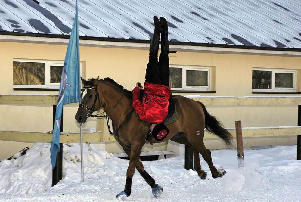 Трюки на лошадях