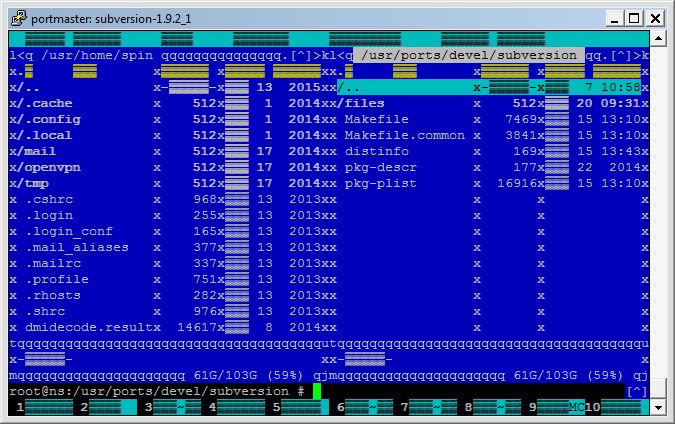 FREEBSD Console. FREEBSD can't Translate pathname to UTF-8.