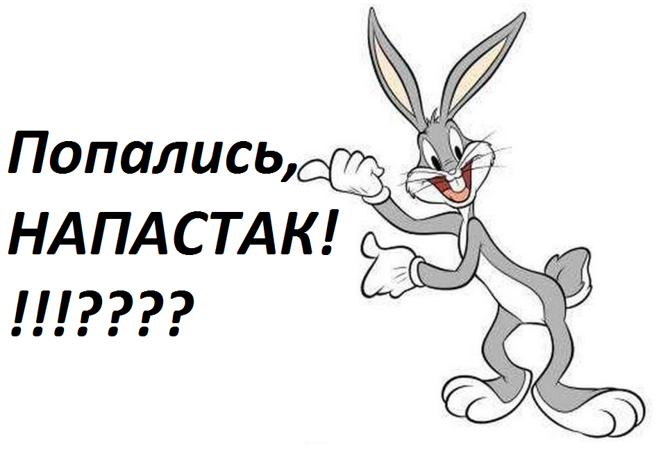 Бакс бани. Лозунги для команды Bunny. Девиз про Bunny. Приветствие Бакс Банни.