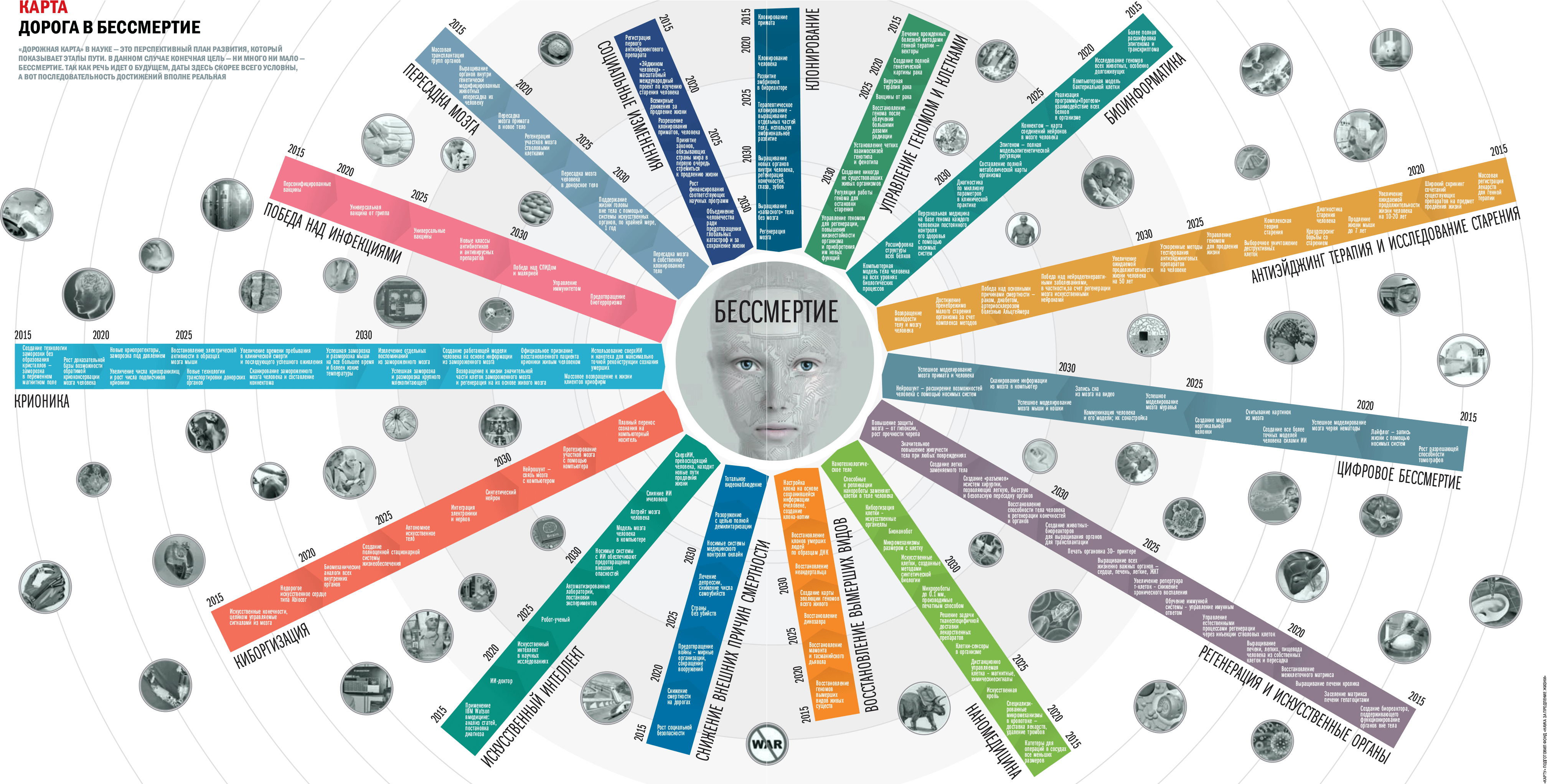 Дорожная карта технологий. Дорожная карта бессмертия. Дорожная карта личности. Инфографика бессмертие. Дорожная карта достижений.