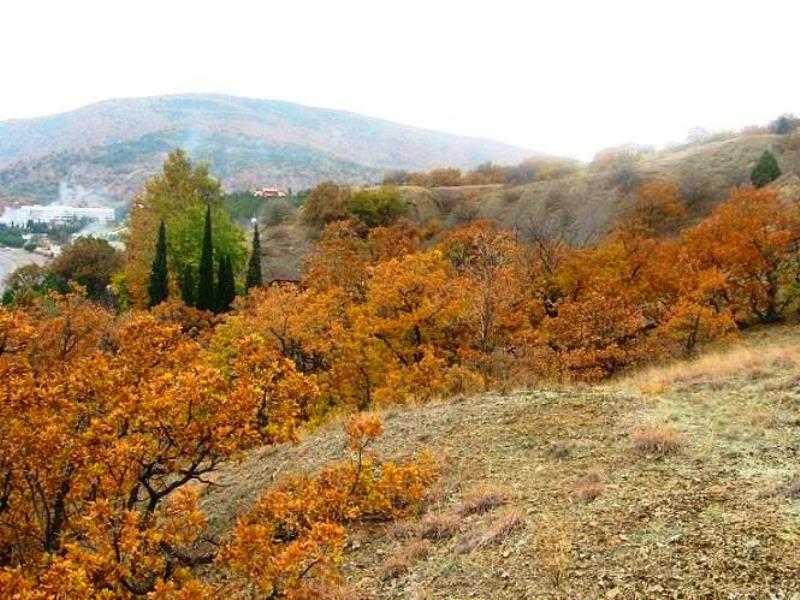 погода в приветном алуштинский на 10. село приветное алуштинский район крым. приветное алушта карта. поселок приветное алушта. пансионат штиль крым.