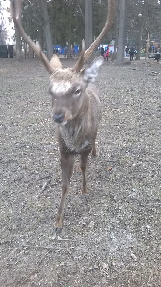 Зображення