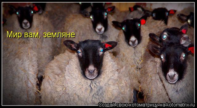 Молчание Ягнят Порно Пародия