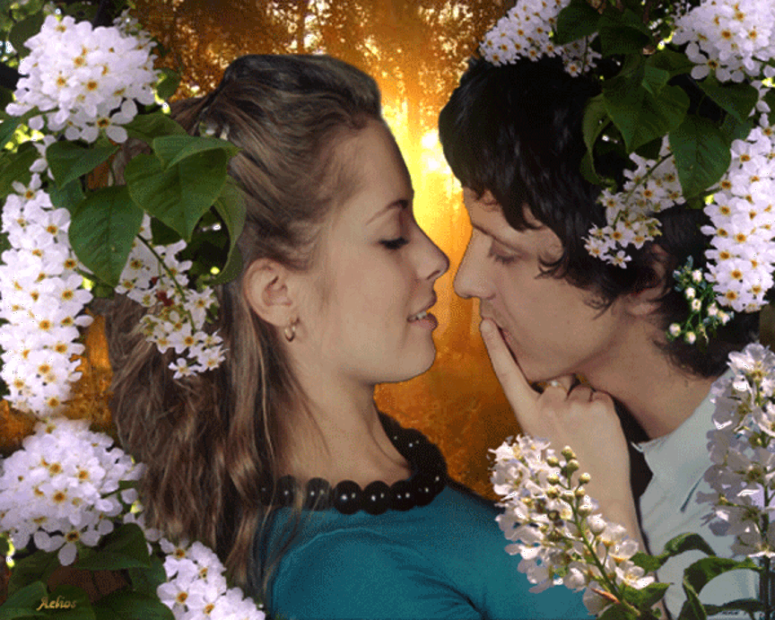 Песня там где цветы всегда любовь. Влюбленные под черемухой .... Весенний поцелуй. Девушка с черемухой.