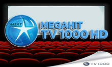 Вип мегахит программа. Tv1000 MEGAHIT. Tv1000. Tv1000 MEGAHIT HD. ТВ 1000 Мегахит HD.