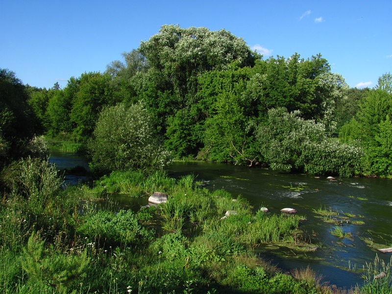 Річка Тетерів у районі Коростишева. Користувач:Gekatomba (2012).