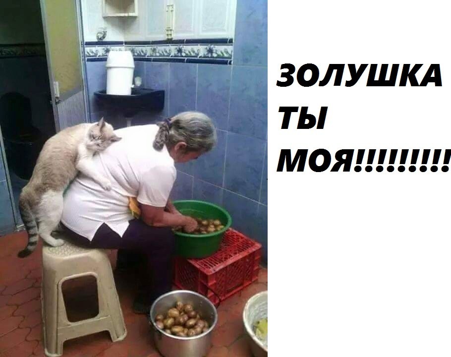 Хозяйка совмещает приятное с полезным