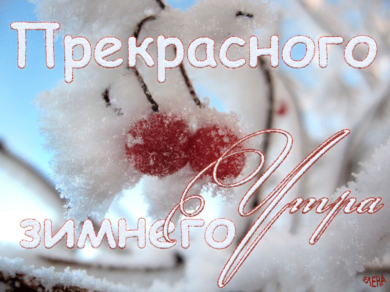 Прекрасного утречка! - С добрым утром - Открытки Прекрасного утречка! - С добрым утром - Открытки
