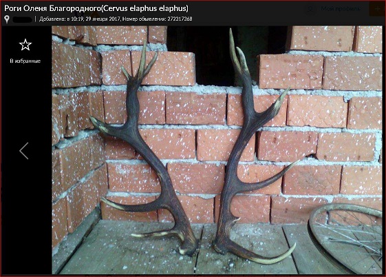 Зображення