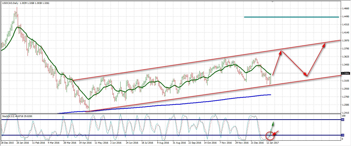 Forex canada forum