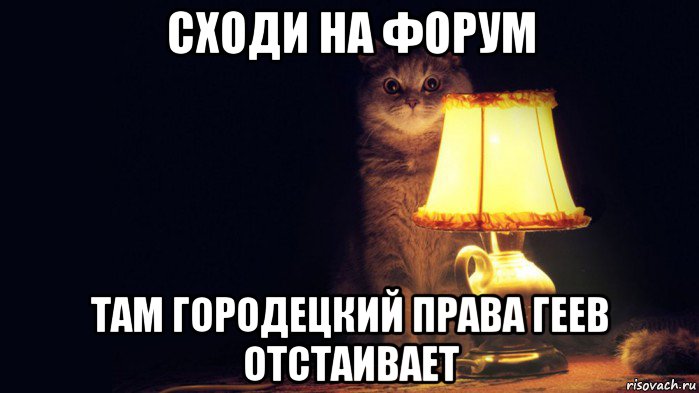 С днём с вечером Мем кот.