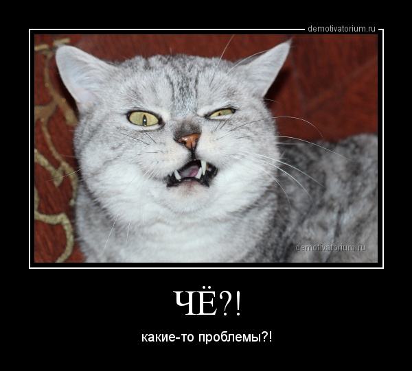 fb22a02d29f5aa7d7e783e1fc0eae5c2.jpg