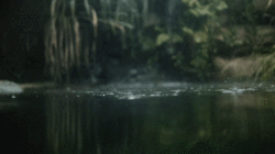 https://s8.hostingkartinok.com/uploads/images/2017/04/6d707a241b43262f8c40e299665321cd.gif
