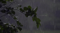https://s8.hostingkartinok.com/uploads/images/2017/04/a2625d021149384cd57e1cbd48b07501.gif