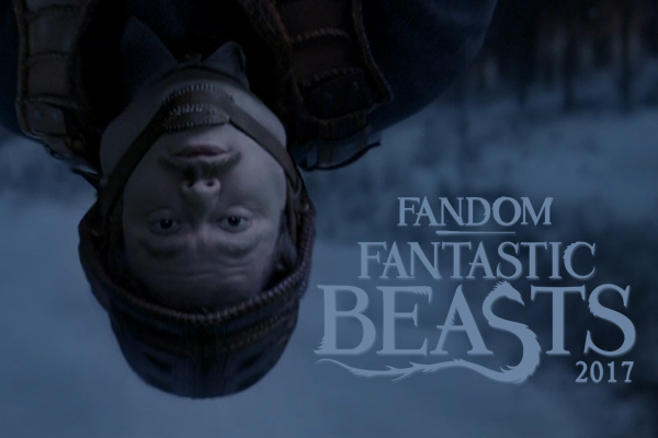 fandom Fantastic Beasts 2017