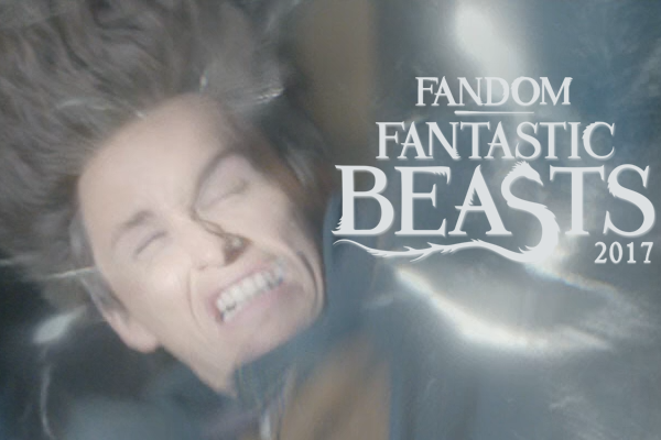 fandom Fantastic Beasts 2017