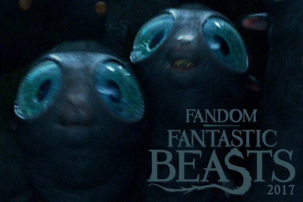 fandom Fantastic Beasts 2017