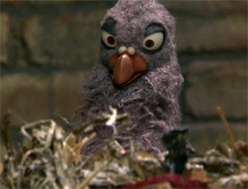 e0097c0d8a57516a03494997cebd22ad.gif