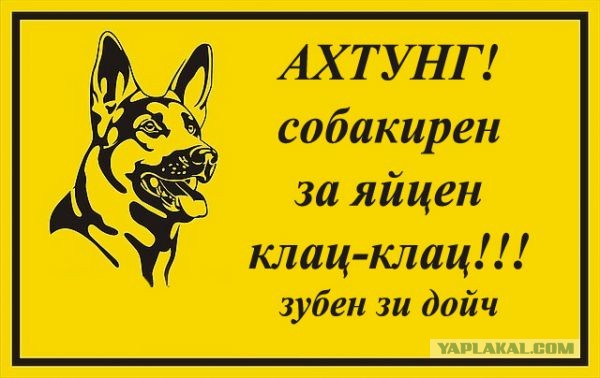 9e0cc1f4c5e7cea2cd20558d85e36935.jpg