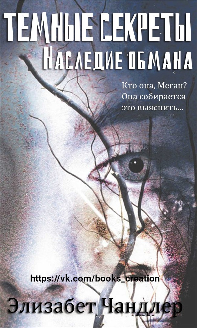 Наследие обмана. Элизабет Чандлер