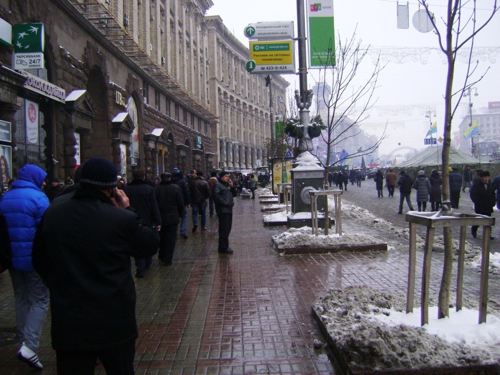 Киев (начало второй декады декабря 2013 г.).