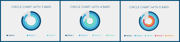 Infographic Bundle Infographic Bundle