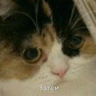 a03a053c663bcbac3341bd3734c5a967.jpg