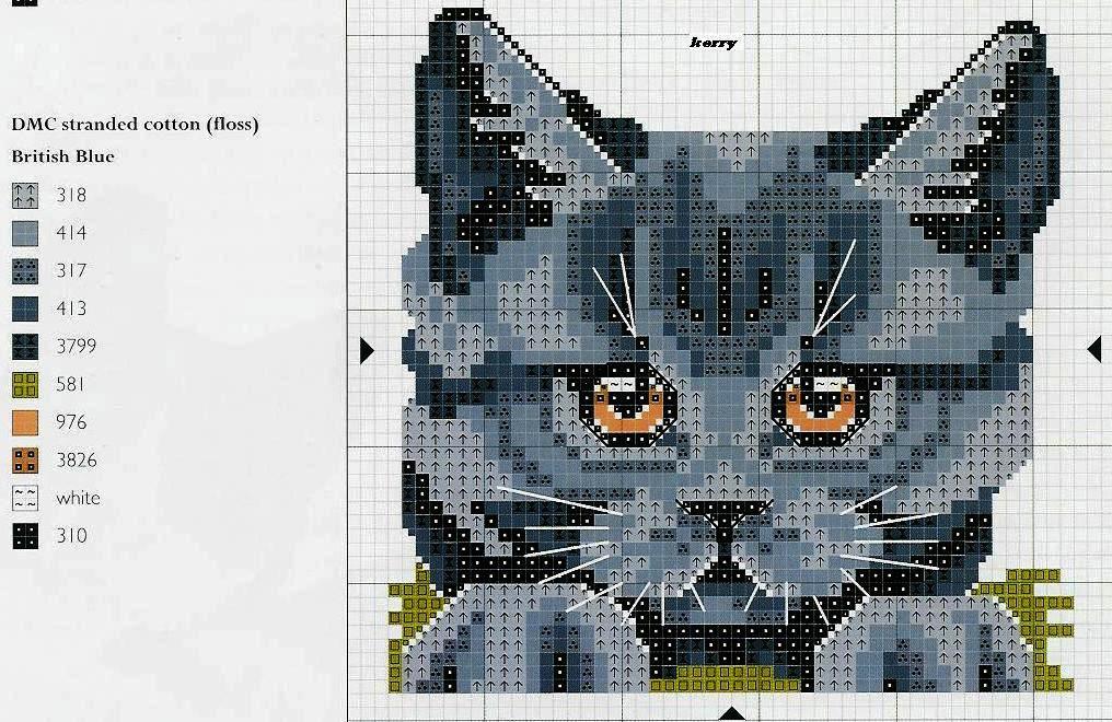 Принципиальная схема кота