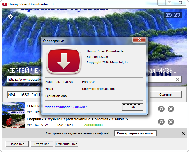 Lewdninja. Downloader. Video downloader professional. Video downloader Windows расширение. Ummy для win2000.