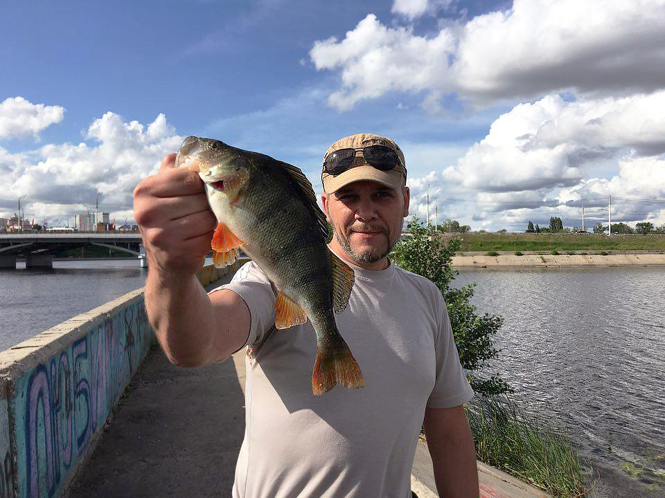 https://s8.hostingkartinok.com/uploads/images/2017/09/eed52555e41be845401c652455f9e281.jpg