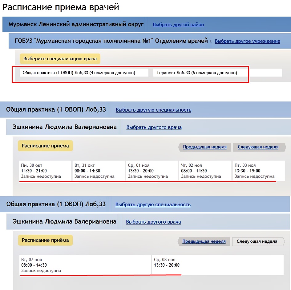 Как записаться ко врачу через интернет в Мурманске — Блогер51