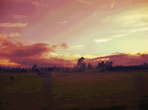 https://s8.hostingkartinok.com/uploads/images/2017/10/9cf161156842cdd178c06134b2b07bb4.gif