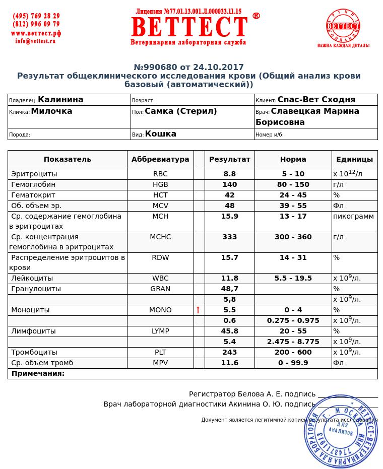 Кальцивироз у кошек схема