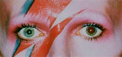 bowie2.gif