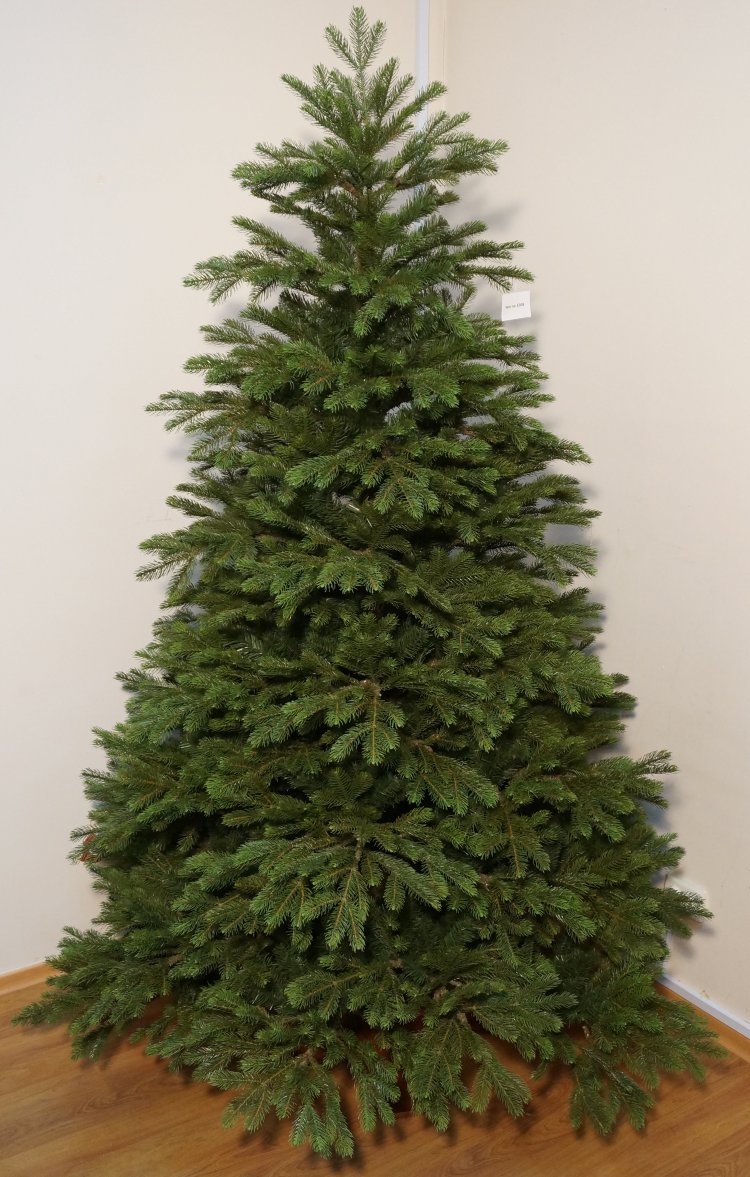 елка мой рюкзак.jpg