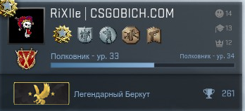 купить Steam аккаунт CS:GO со званием Legendary Eagle купить Steam аккаунт CS:GO со званием Legendary Eagle