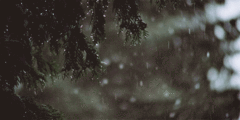 https://s8.hostingkartinok.com/uploads/images/2017/12/a3dda932a03b8c8a62cdb541b2a8c734.gif