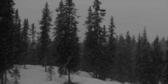 https://s8.hostingkartinok.com/uploads/images/2017/12/cbb1ac631e6d412e52f2a43861842dd1.gif