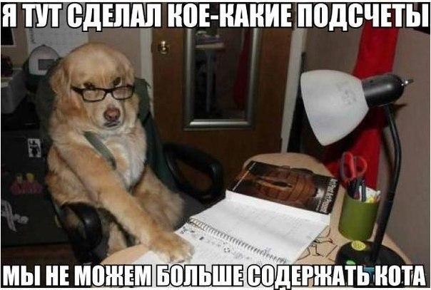 0412365a7c781b7da505d1c6a9d400f1.jpg