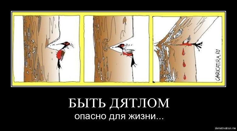 27865fe7014cd6f91d16827e6f36aed7.jpg