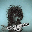 3982e8498f2ca5ed80f5bd52927058b8.gif